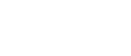 Mice Plus